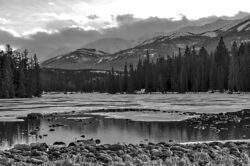 Image by David Mansfield