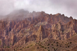 Image by Janet Scott