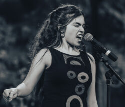 Image by Alan Daniel