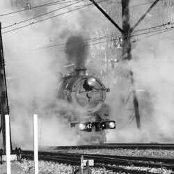 Image by David Mansfield