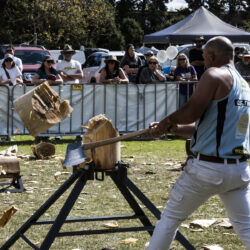 Image by David Mansfield