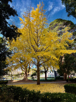 Image by Michael Peck