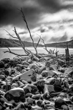 Image by Robert Skinner