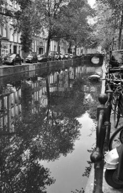 Image by David Mansfield