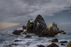 Image by Fiona Carter