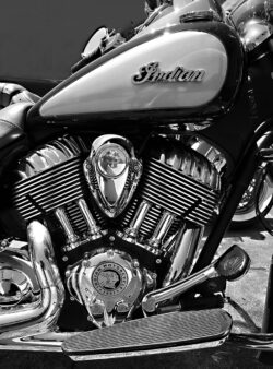 Image by David Mansfield