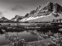 Image by Emanuel Conomos