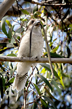 Image by David Mansfield