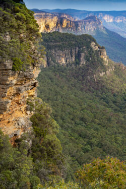 Image by David Mansfield