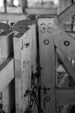 Image by David Mansfield