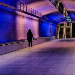 Image by David Mansfield