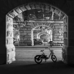 Image by David Mansfield