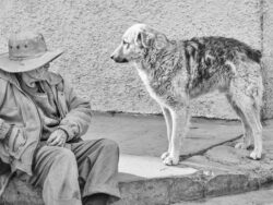 Image by Sue Lightfoot