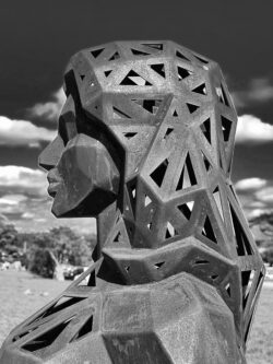 Image by David Mansfield