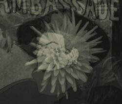 Image by Andy Horsfall