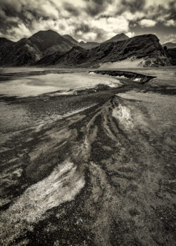 Image by Alan Daniel