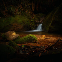 Image by Robert Skinner