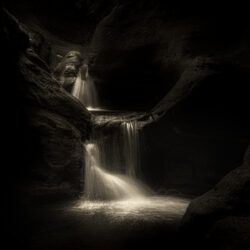 Image by Alan Daniel